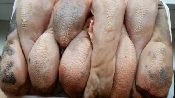 Как и сколько варить бараньи языки